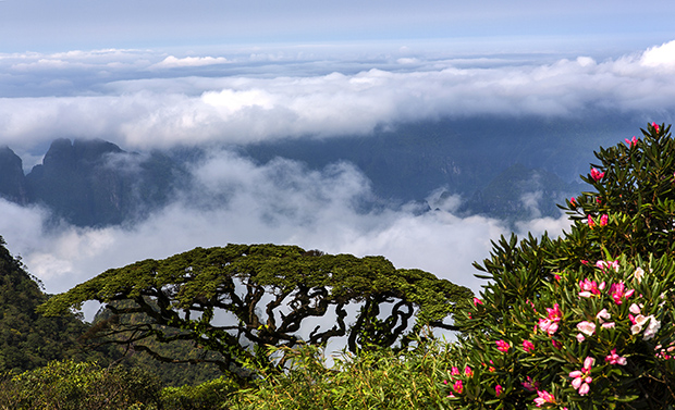 圣堂山景区 (1).jpg 圣堂山景区 (1).jpg