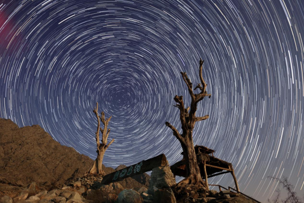 image005.jpg image005.jpg