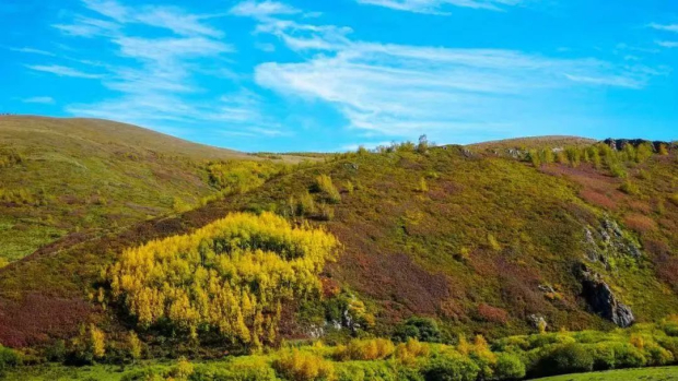 ΢��ͼƬ_20241010090027 (2).jpg