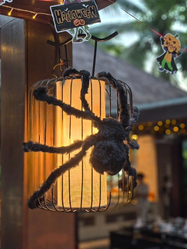 微信图片_2025-10-29_085138_636 (2).jpg