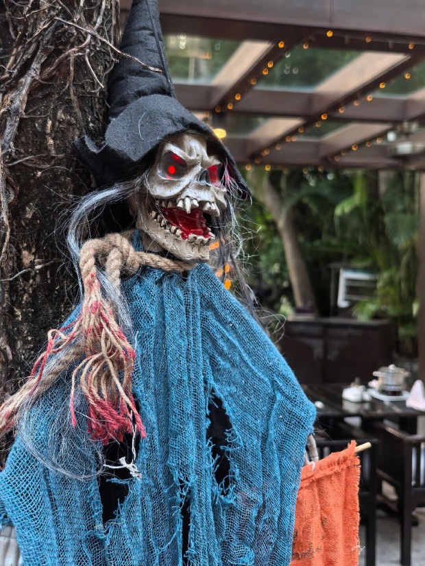 微信图片_2025-10-29_085143_148 (2).jpg